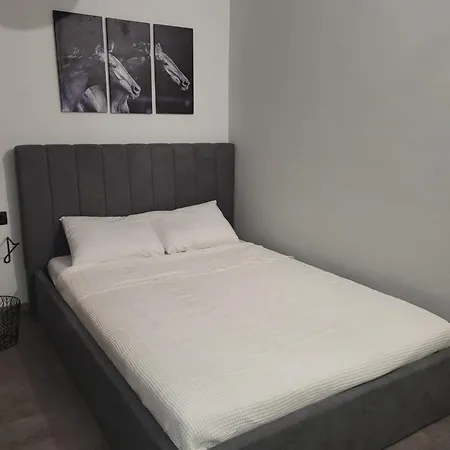 The Cosy Nest Appartamento